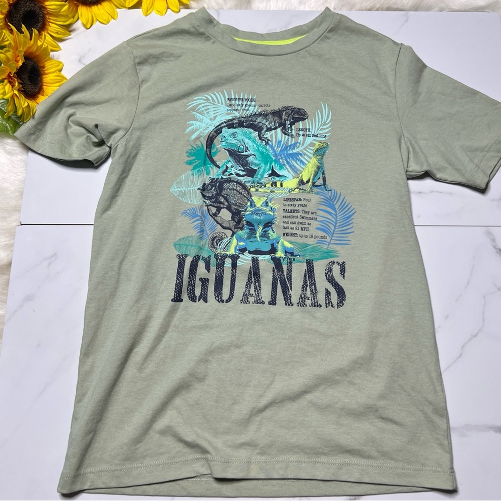Falls Creek Mint Green Tee